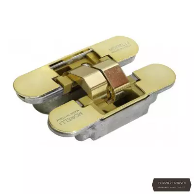 Slēptās eņģes zelts