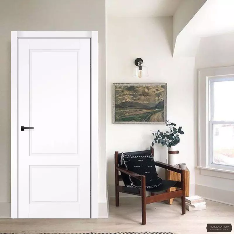 Durvis Status (TESLINE) Balta emalja RAL 9003