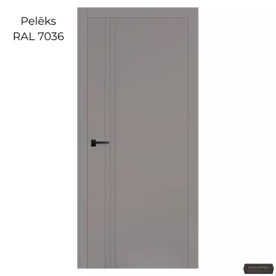 Durvis SALIN Krāsotas durvis