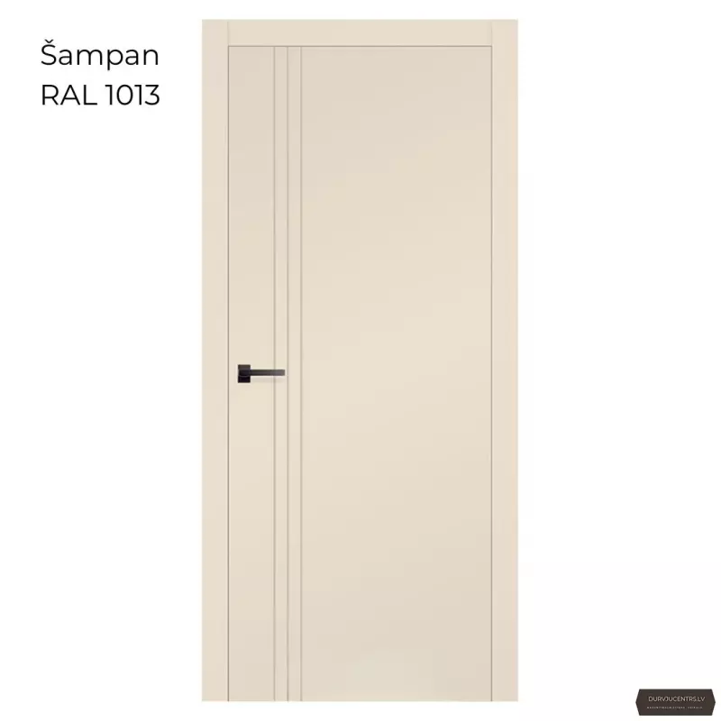 Durvis SALIN Krāsotas durvis
