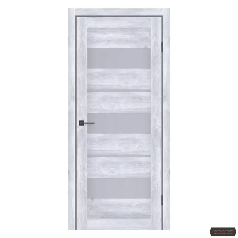 Durvis Silva 02 Pelēks ozols EKOfinierējums