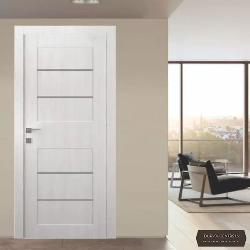 Durvis Ausma Latvijas bērza tonis