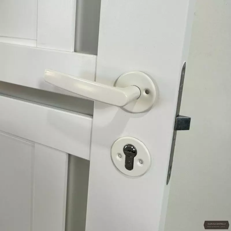 Durvju rokturis EXO Balts