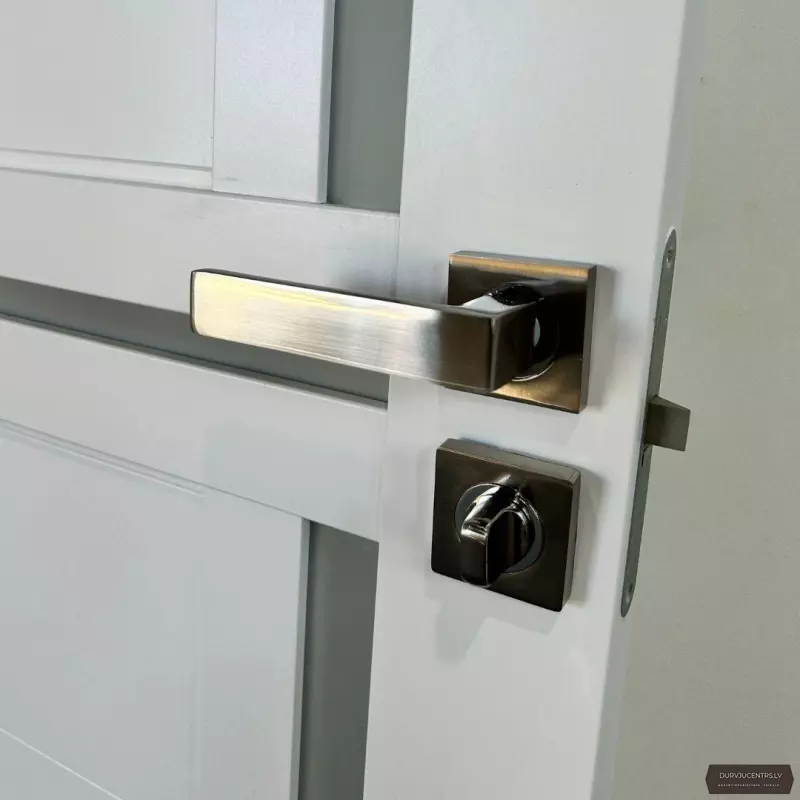 Durvju rokturis IMOLA