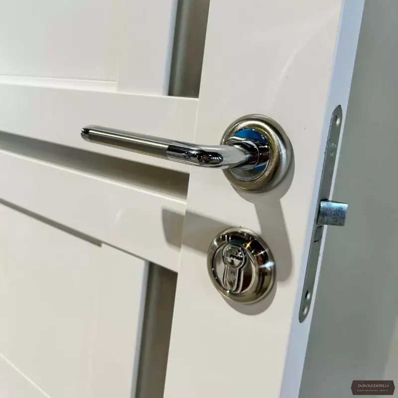 Durvju rokturis TORI